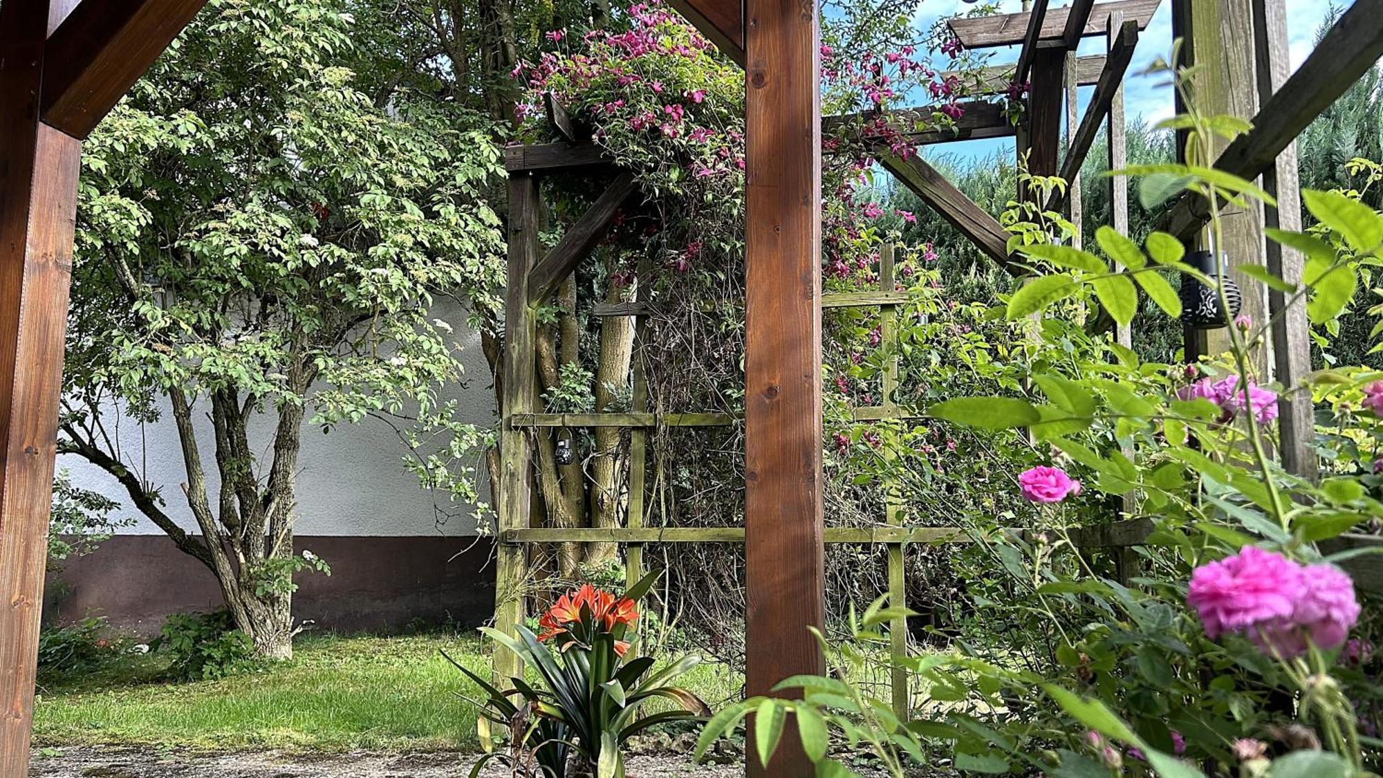 Grosszuegige Wohnung Mit Terrasse Und Gartenzugang - Das Komplette Erdgeschoss Bindlach Exterior foto